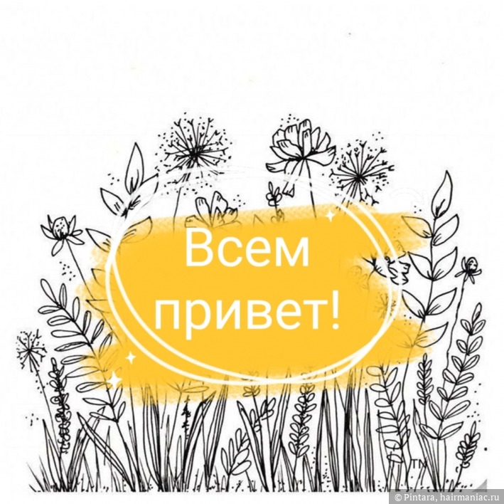 Kraken 13 at ссылка