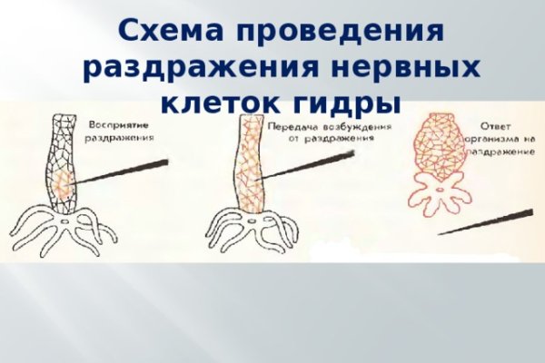 Настоящая ссылка на кракен