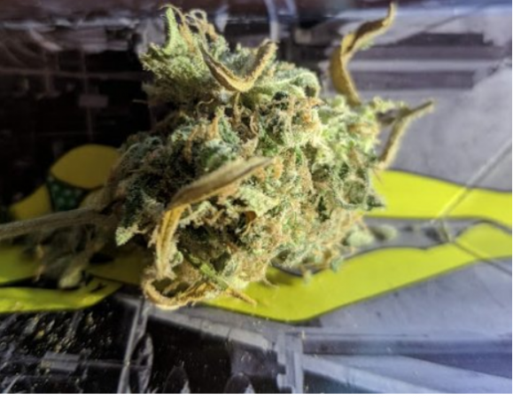 Как вывести деньги с кракена